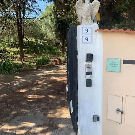 La Brii