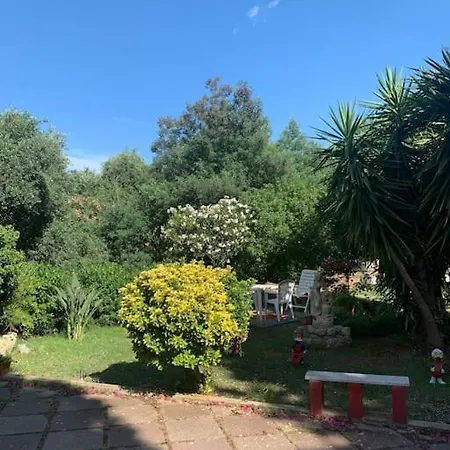 La Brii *